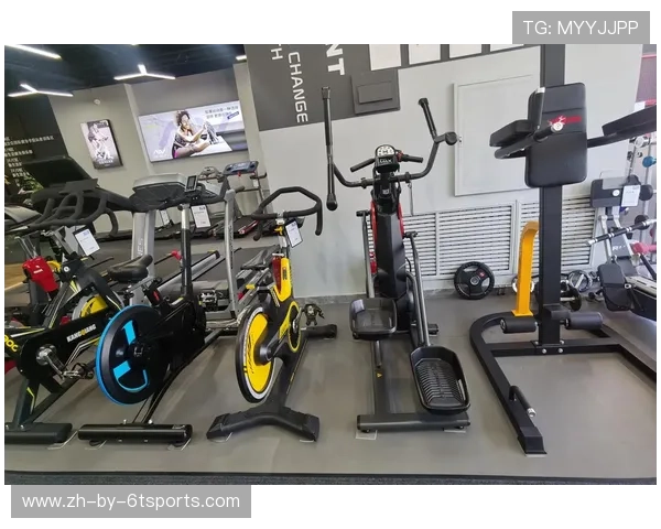 健身房器械配置一览：所有健身器材全解析